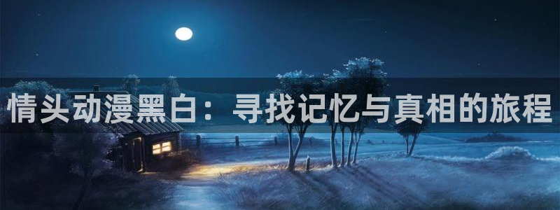 av动漫天堂：情头动漫黑白：寻找记忆与真相的旅程
