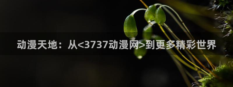 动漫天堂下载囧次元无广告：动漫天地：从<3737动漫网>到更多精彩世界