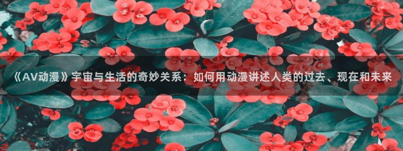 jm动漫天堂：《AV动漫》宇宙与生活的奇妙关系：如何用动漫讲述人类的过去、现在和未来