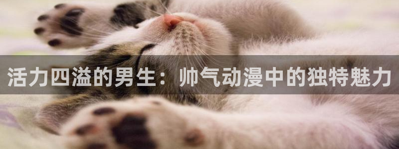 动漫天堂之吻：活力四溢的男生：帅气动漫中的独特魅力