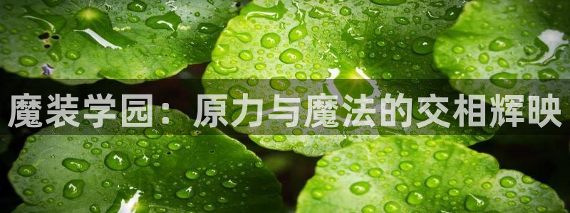 美妙天堂动漫动漫：魔装学园：原力与魔法的交相辉映